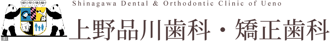 上野駅近くの精密診療の歯医者「上野品川歯科・矯正歯科」の矯正歯科のページです。