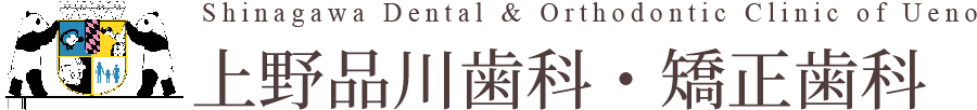 精密治療の歯医者「上野品川歯科・矯正歯科」の医院紹介・アクセスのページです。